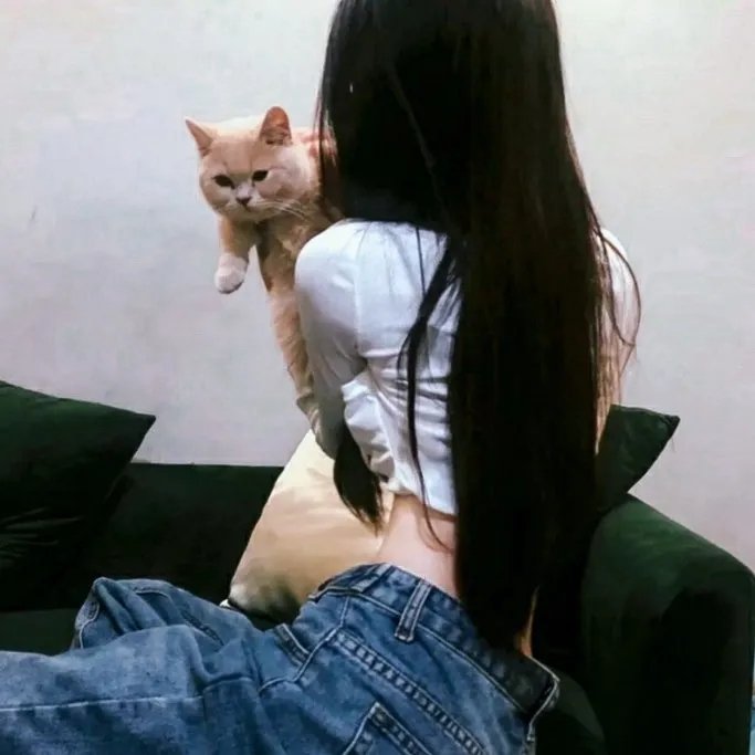 超级方程式